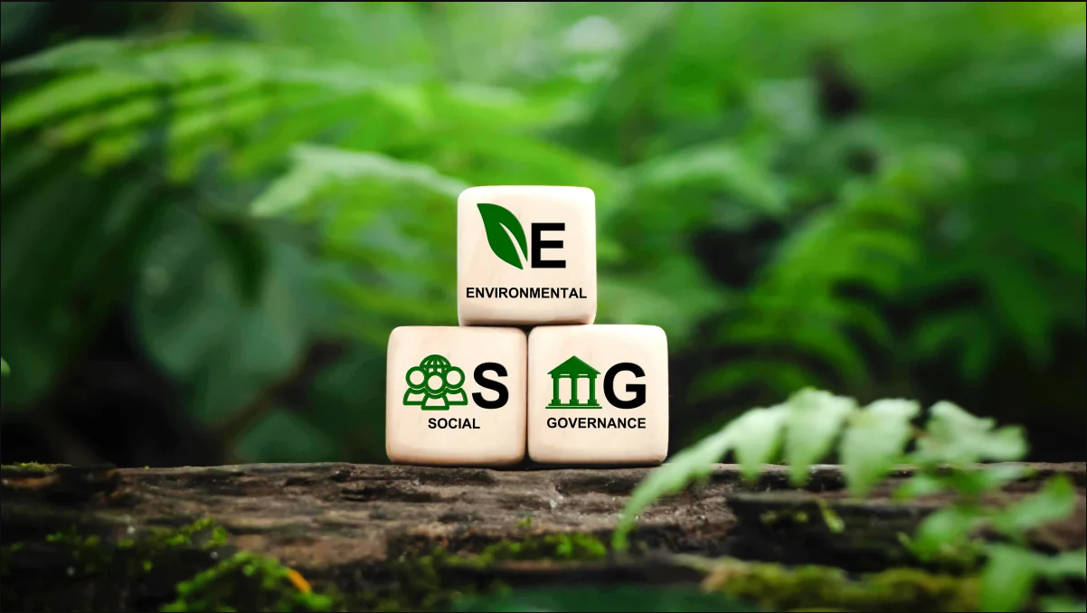 ESG strategie